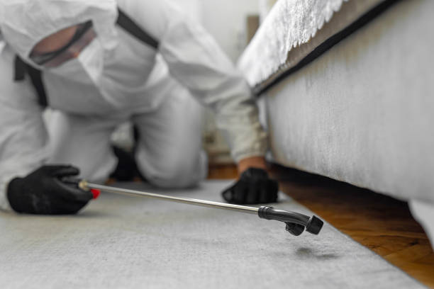 Professional Pest Control technician working in Kendall County County, IL